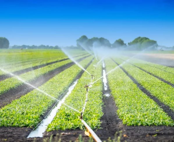 Amanco Wavin está de olho no crescimento do agronegócio brasileiro