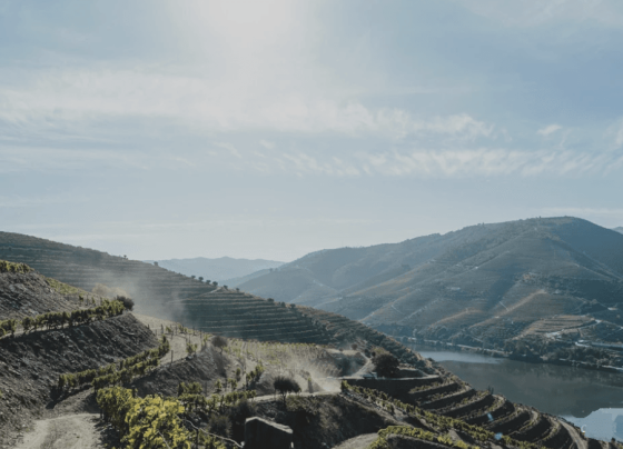 A paisagem do Rio Douro, em Portugal, reconhecida como Patrimônio Mundial pela Unesco, que encantou o empresário de Minas Gerais