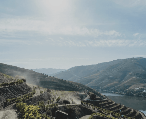 A paisagem do Rio Douro, em Portugal, reconhecida como Patrimônio Mundial pela Unesco, que encantou o empresário de Minas Gerais