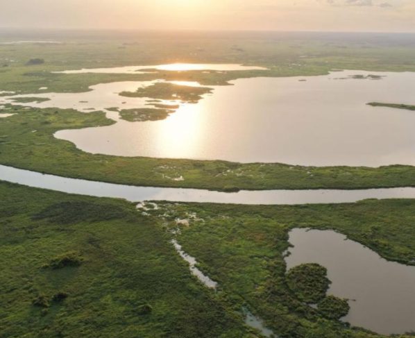 Carta do Pantanal será destaque em evento que conecta ciência e saberes tradicionais. - Foto: Deivid Fontes/Unemat