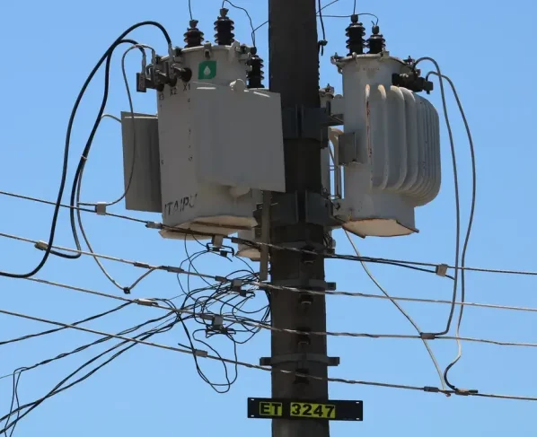 Esse número representa um aumento de 72% em comparação com o ano passado, quando foram registradas 58 prisões ao longo de 2024.