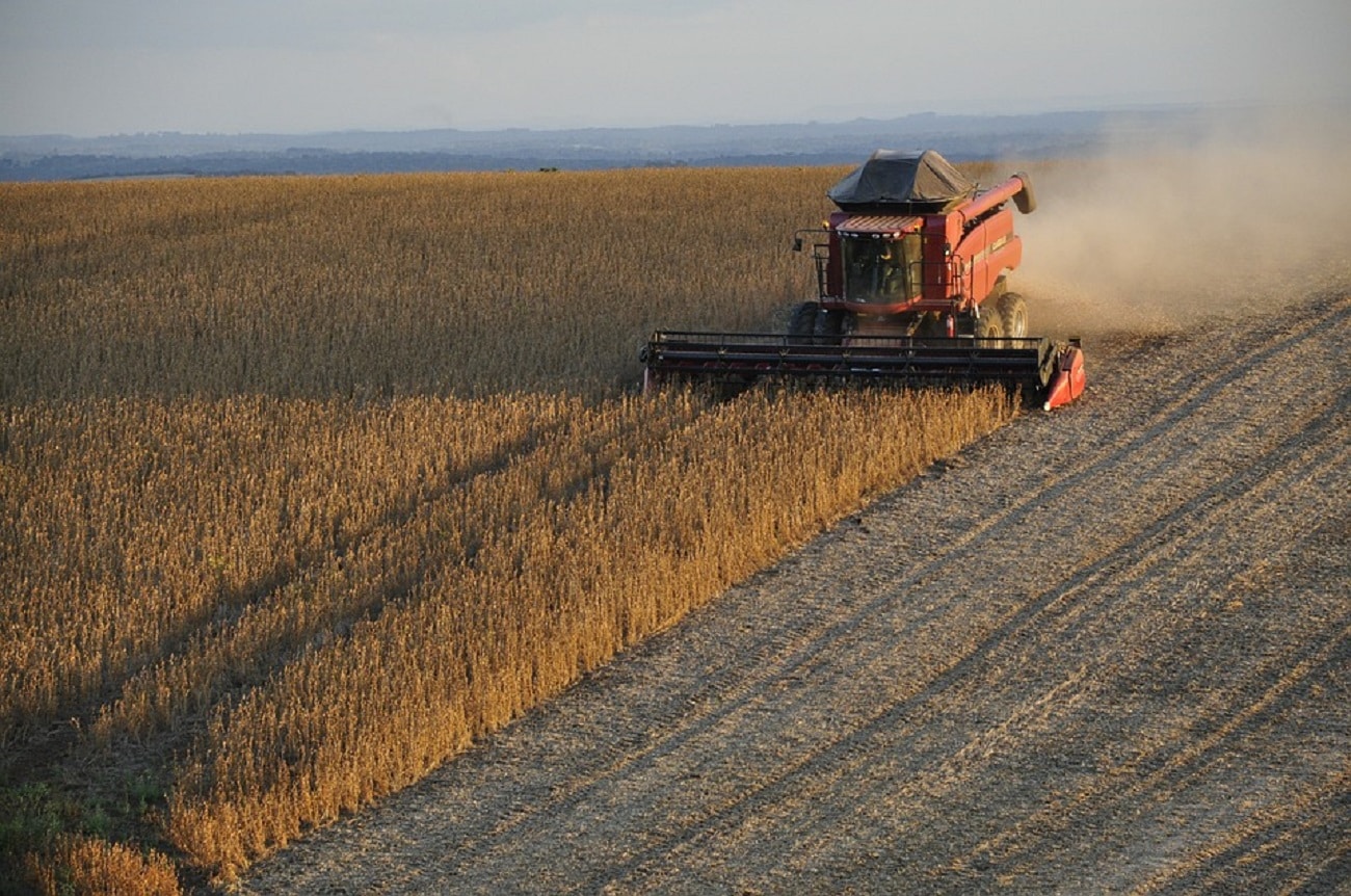 Agropecuária gerou mais de 10 mil empregos e destacou MT no cenário nacional