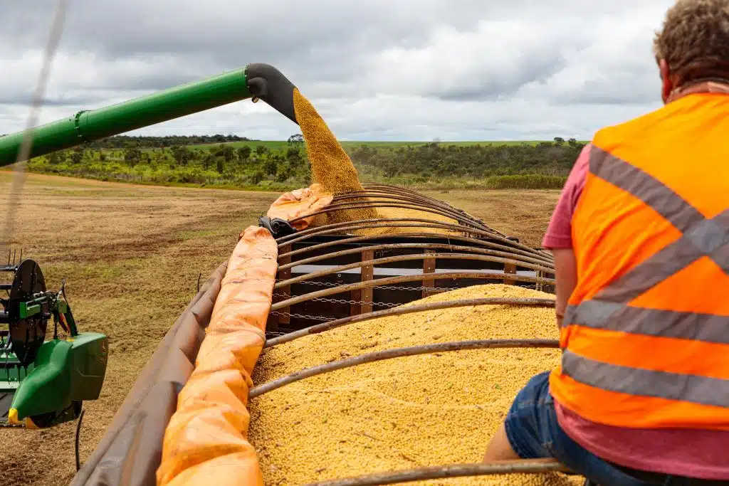 Imea consolida dados e área plantada e produção da soja registram novo recorde