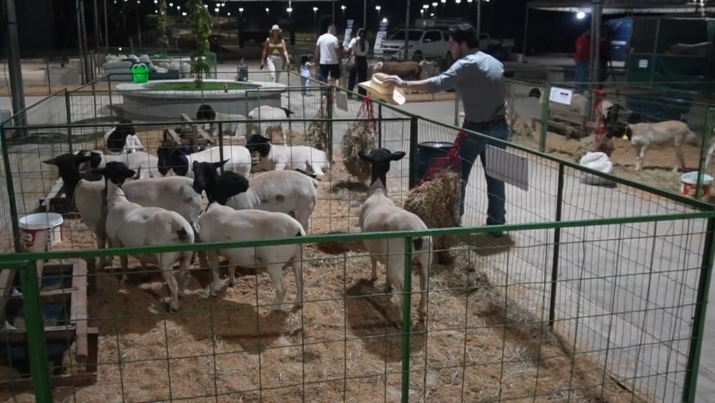 GreenFarm 2026 movimenta Cuiabá com tecnologia, negócios e grandes debates do setor produtivo