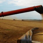 Alta dos fertilizantes em mais de 2.733% pressiona custo da nova safra mato-grossense
