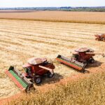 Produtores de MT cobram medidas estruturais para real evolução do Plano Safra no Brasil