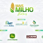 Consórcio transforma milho em ração, lucro e expansão no campo em Querência