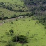 Decisão do STF traz segurança jurídica às áreas do Araguaia e Guaporé