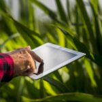 Pecuária e tecnologia podem e vendem andar em direção às estratégias de produção