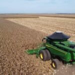 Querência: A cidade que nasceu no meio do Cerrado e virou símbolo da nova geração do agronegócio brasileiro