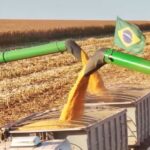 Produtores de MT pedem fôlego financeiro para continuar no campo