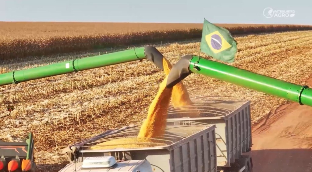 Produtores de MT pedem fôlego financeiro para continuar no campo