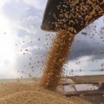 Mato Grosso registra recorde nas exportações de soja