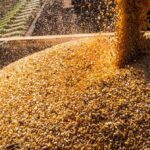‘Saída pelo Oeste’ segue sendo melhor alternativa ao agro mato-grossense