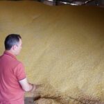 Falta de armazéns desafia o agro de MT e impulsiona uso do silo bolsa