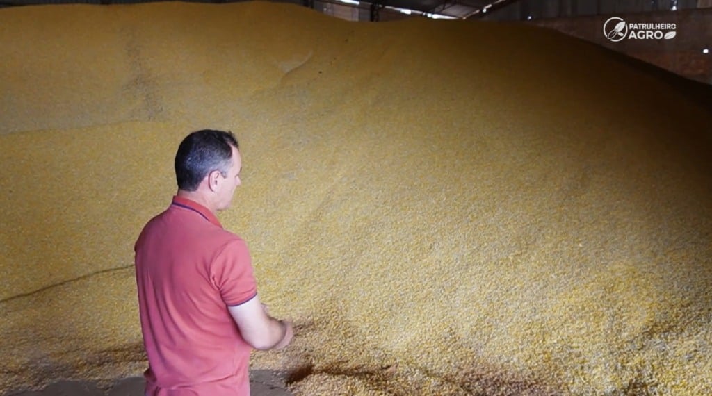 Falta de armazéns desafia o agro de MT e impulsiona uso do silo bolsa