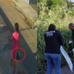 Investigada por adotar gatos para matá-los volta à prisão em Cuiabá após romper tornozeleira
