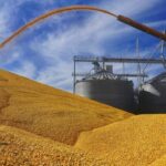 Mesmo sob guerra tarifária, empresa norte-americana quer investir na produção de silos em MT