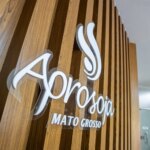 Plano Safra 2026/27 precisa ampliar recursos e reduzir juros, defende Aprosoja Mato Grosso