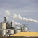 Potencial da região oeste de MT para agroindústria entra em pauta e vira promessa ao setor