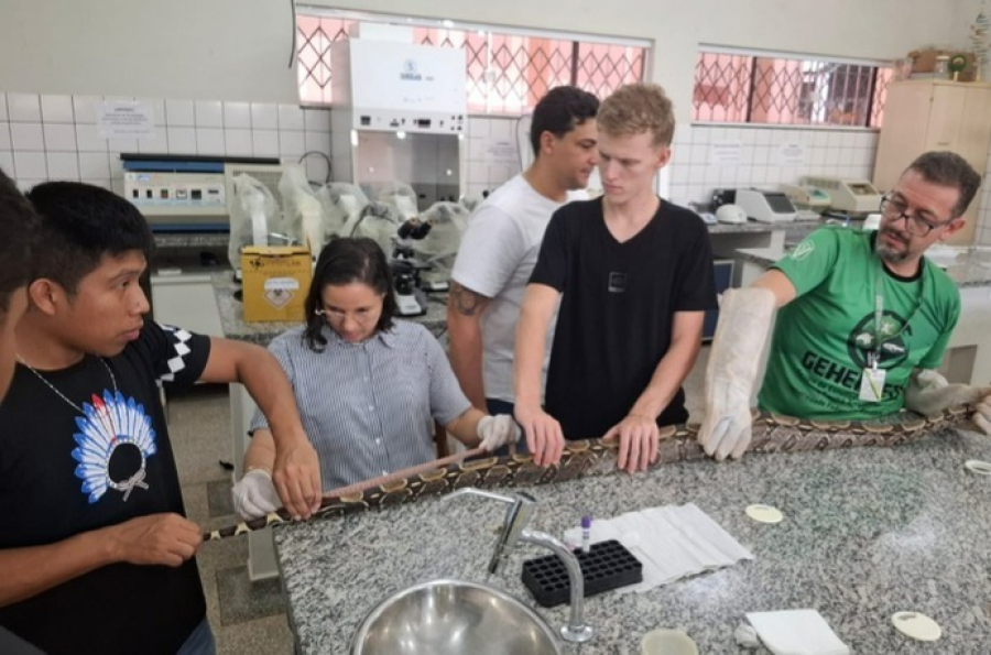 Clínica veterinária da UNIR oferece atendimento gratuito e amplia serviços para animais em Rondônia