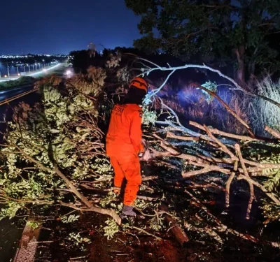 Bombeiros removem galhos caídos na BR-070 em Barra do Garças