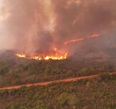 Brigadista do Ibama morre combatendo incêndio no Xingu e agrava