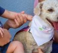 Cães mudam rotina de crianças internadas em hospital de Sinop