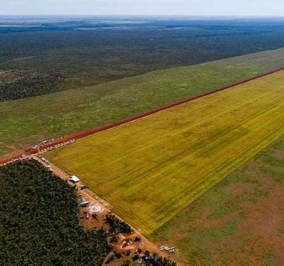 FAMATO monitora decisão judicial sobre redemarcação de Terras Indígenas em