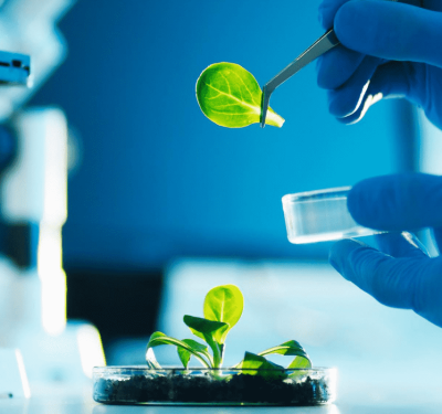 Novo programa transforma as escolas de Mato Grosso em laboratórios