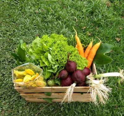 Programa Nutrindo Vidas visa garantir seguranca alimentar de mulheres em situacao de vulnerabilidade