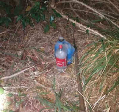 Trabalhador rural encontrado morto em área de mata em Lucas